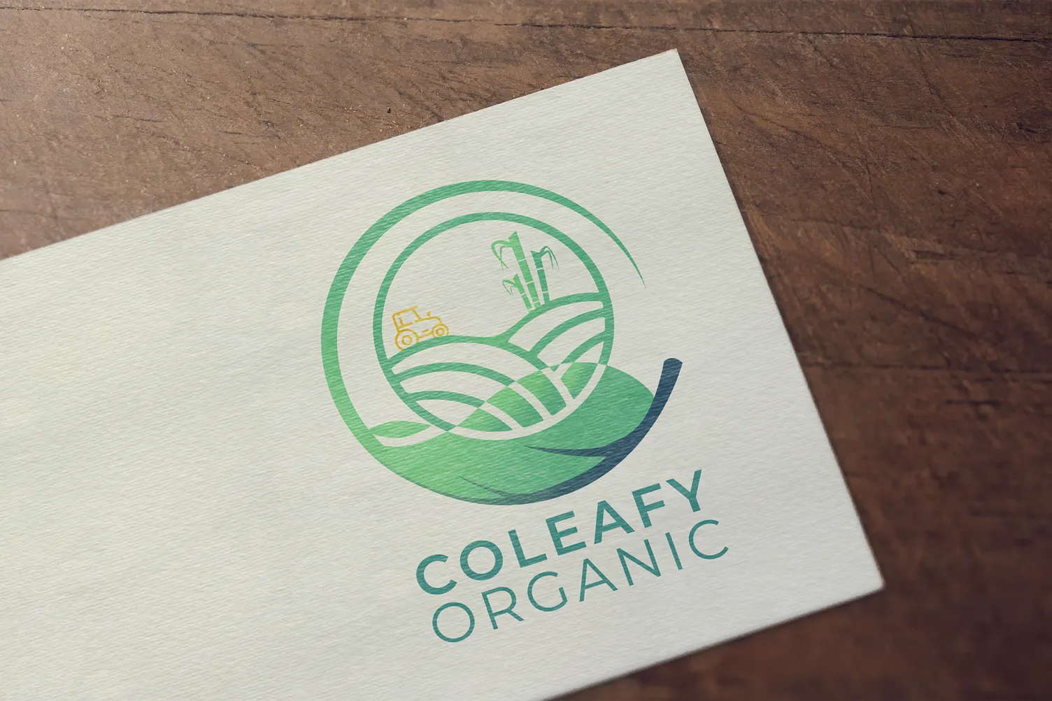 Coleafy Organic logo — circular farm and sugarcane mark on business card